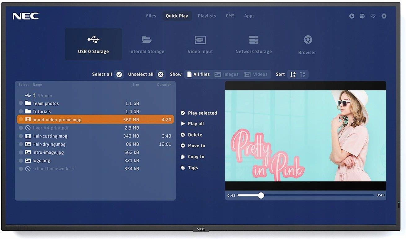 i-nec-multisync-p495-mpi4-60005377
